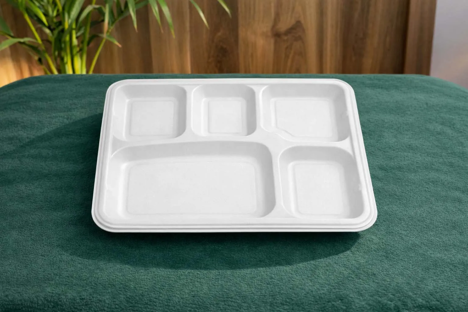 Trays & Meal Trays
