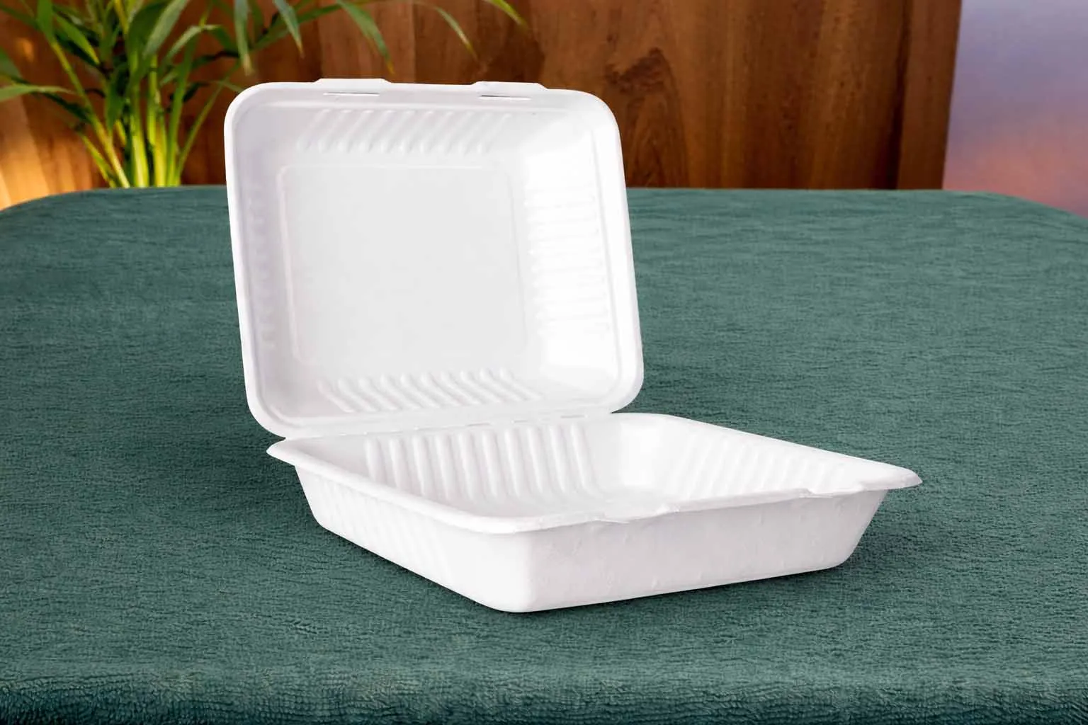 Containers & Clamshells