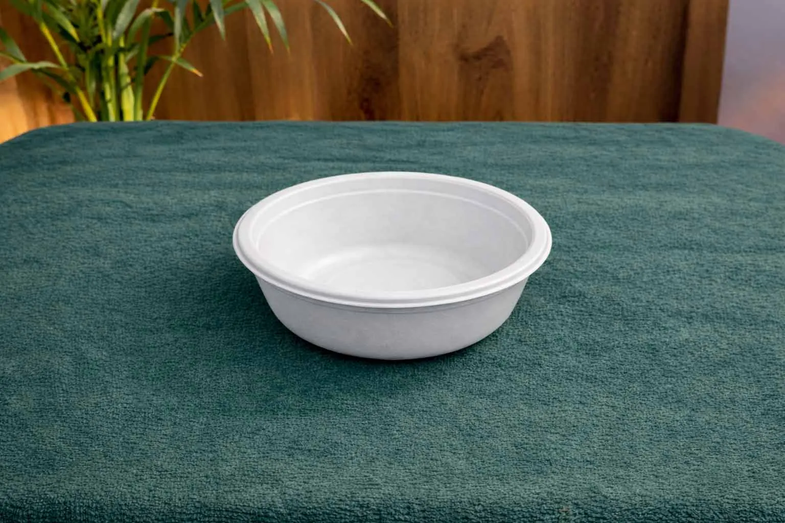 Bagasse Bowls