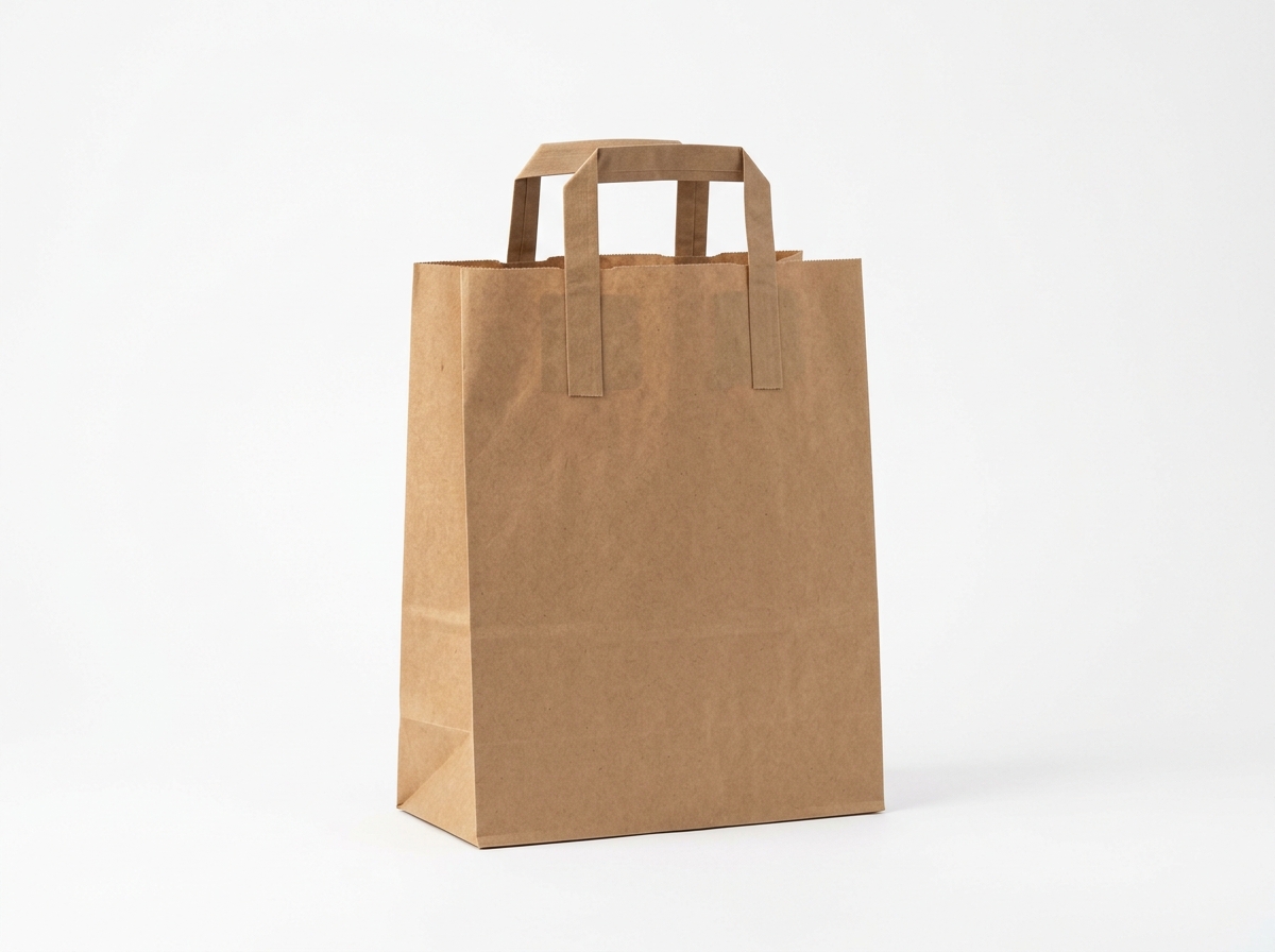 Kraft Flat Handle Bag