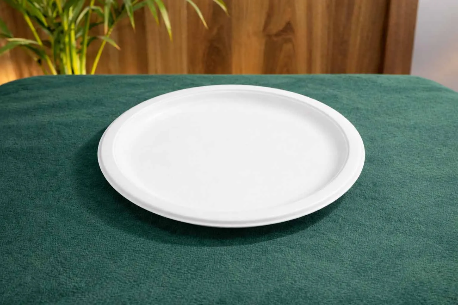 Round Plate — 11 Inch