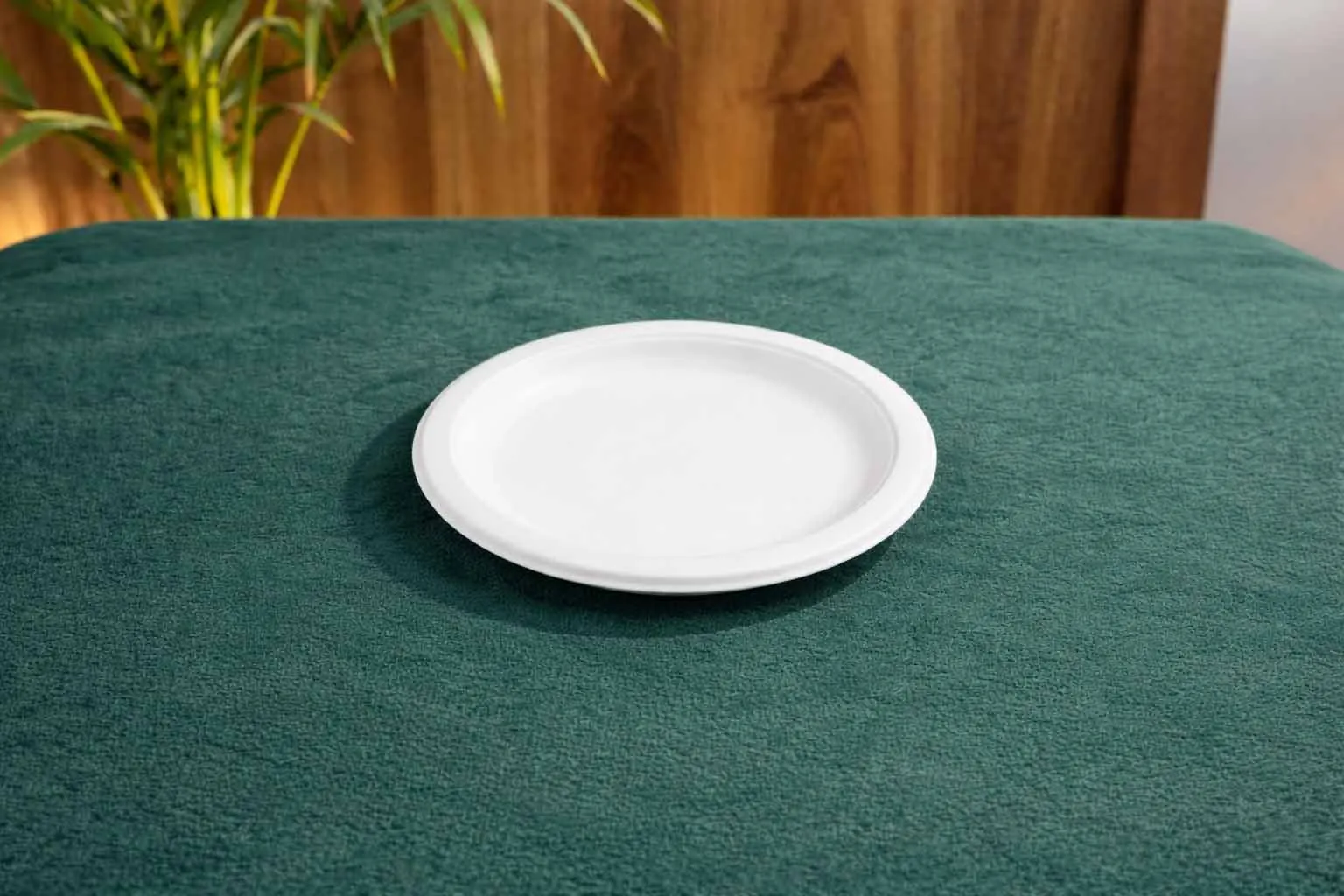 Round Plate — 7 Inch