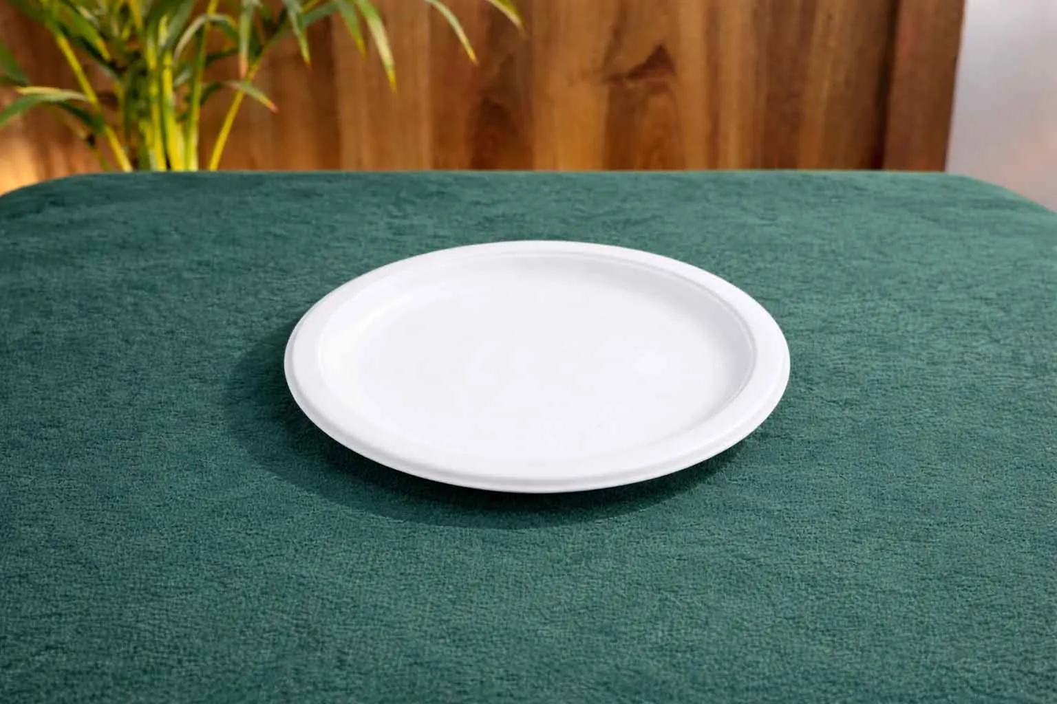 Bagasse Plates