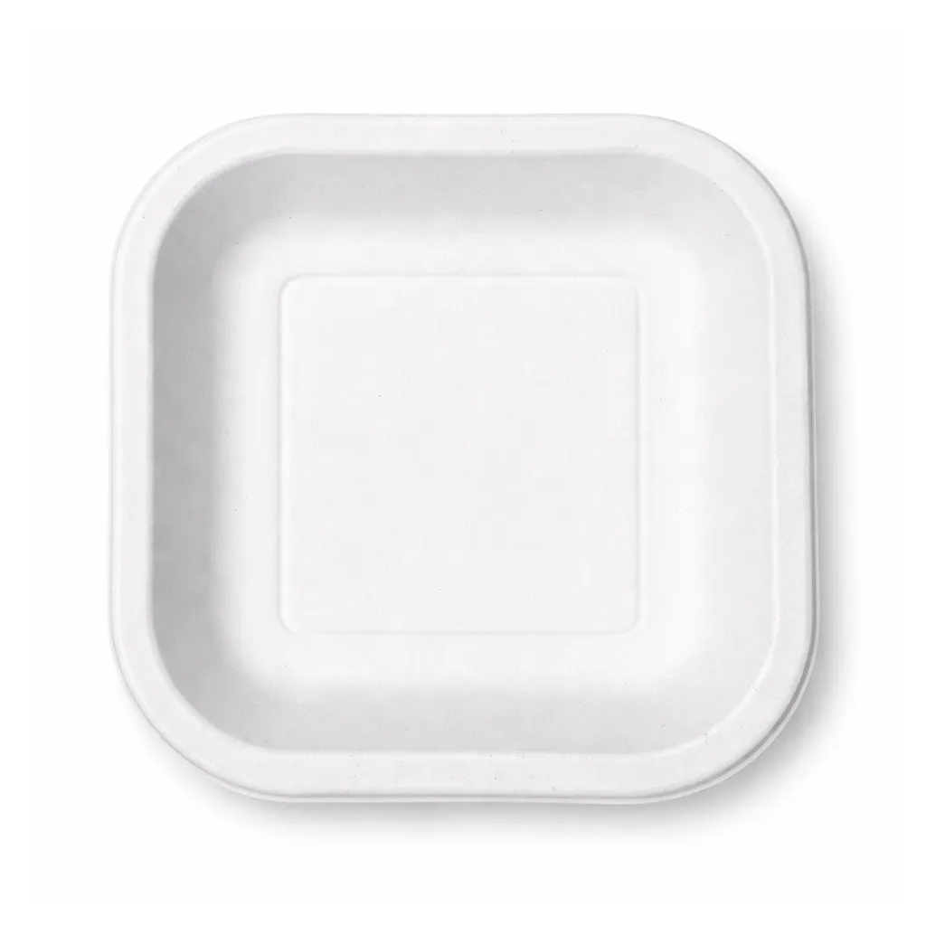 Square Plate — 7 Inch thumbnail 2