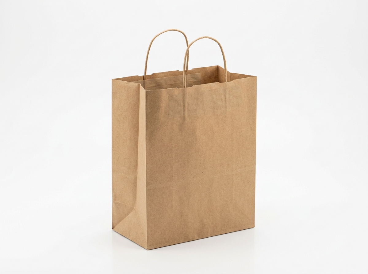 Kraft Twisted Handle Bag